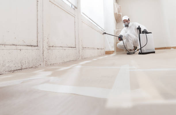 24/7 Emergency Attic Mold Remediation experts in Yale, VA