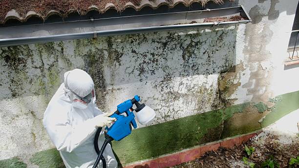 Top rated local Attic Mold Remediation specialists in Yale, VA
